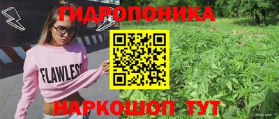 mdma Сланцы